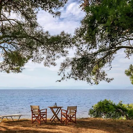 Vakantiehuis Pinereef Blue