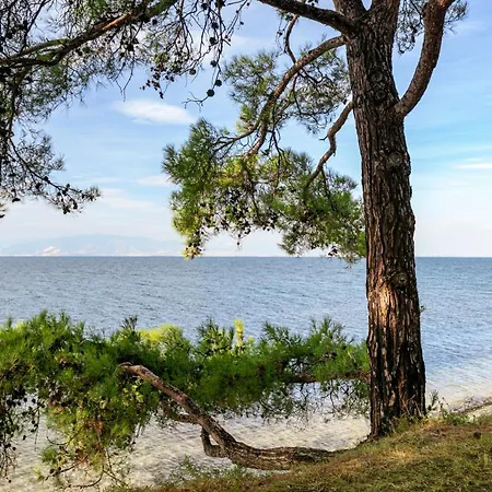 Vakantiehuis Pinereef Blue Skala Rachoni (Thasos)